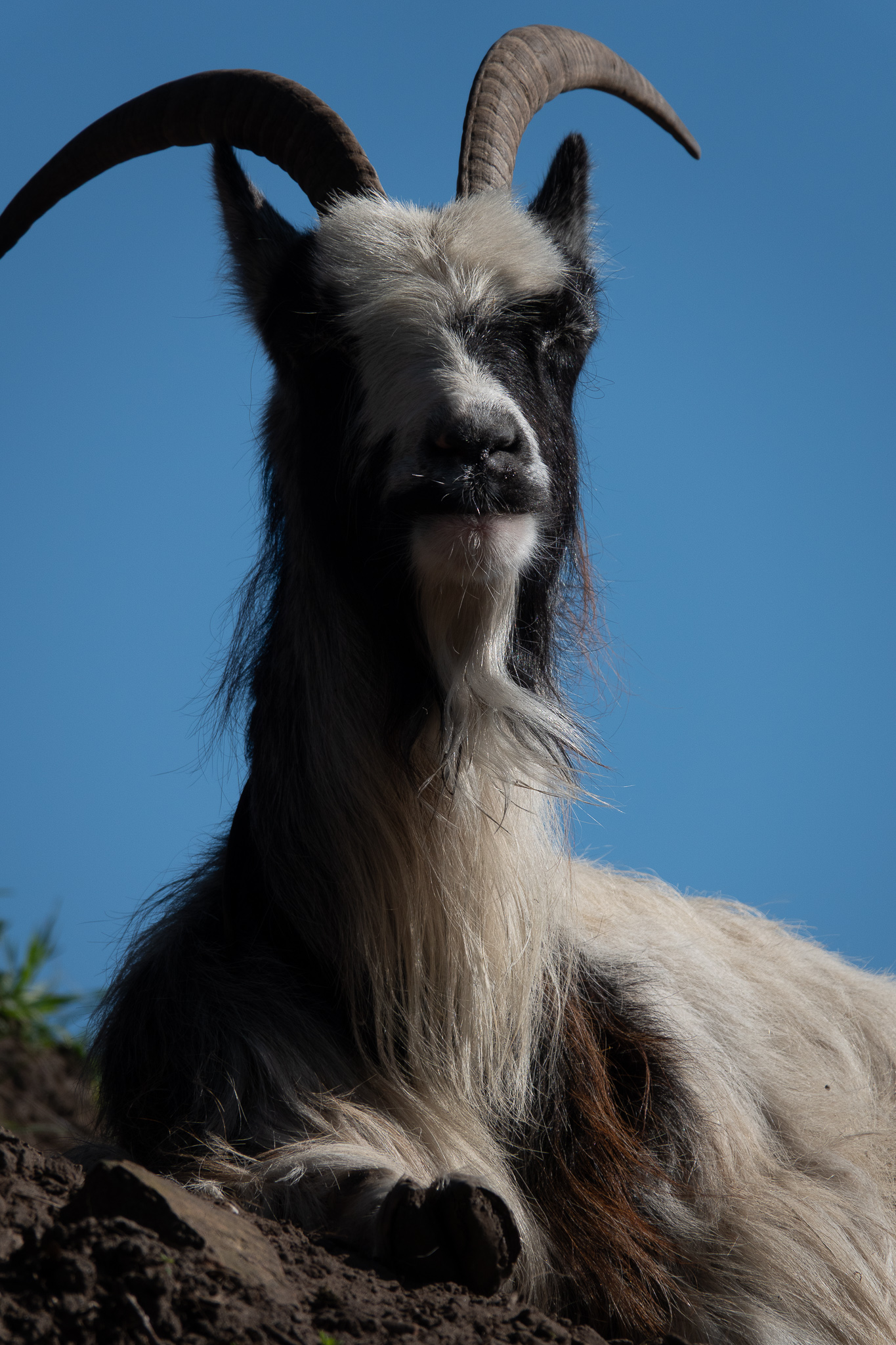 20260321   Fototrip Maart   Naarden vesting   052